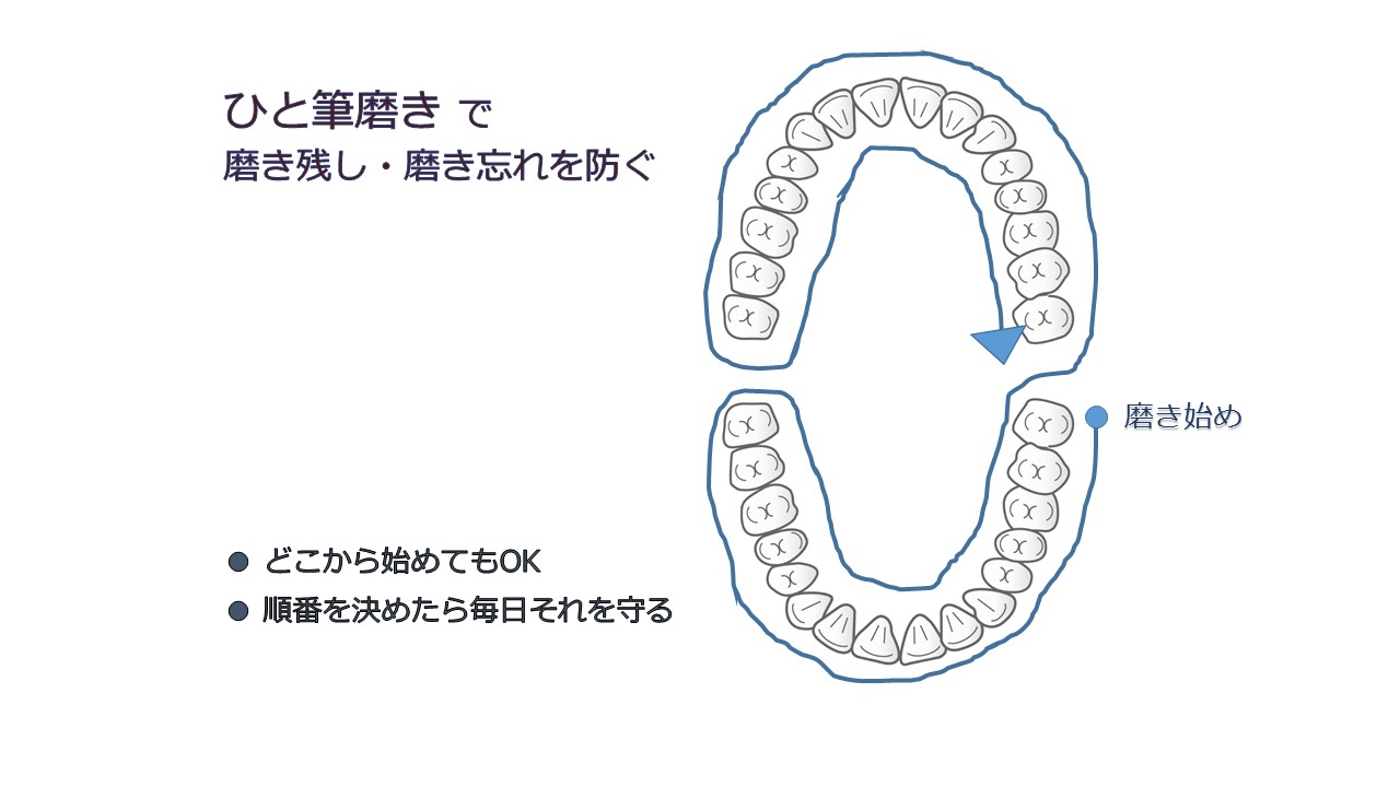 ひと筆磨き.jpg